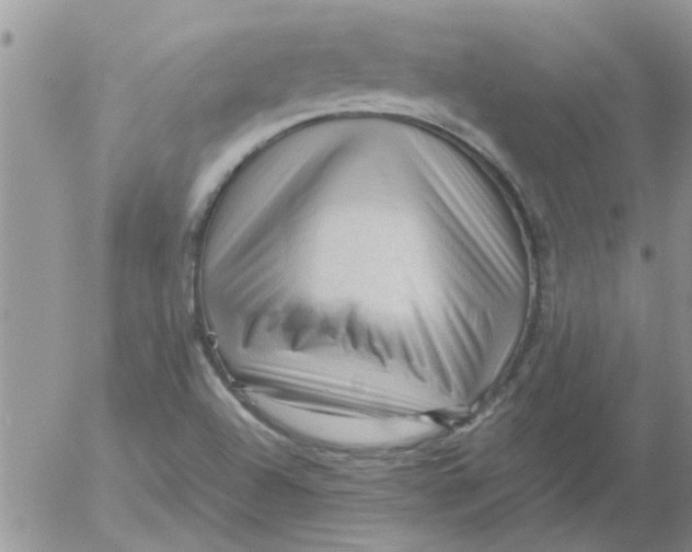 X0000053091504200508012019