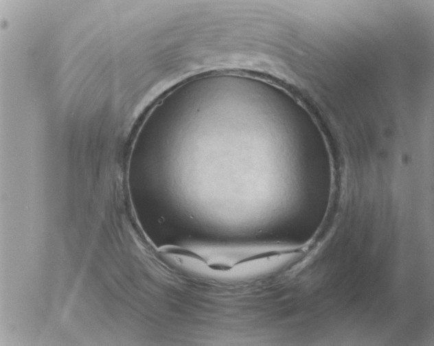 X0000053091505200508012019