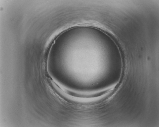 X0000053091506200508012019