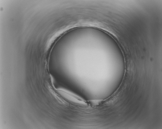 X0000053091507200508012019