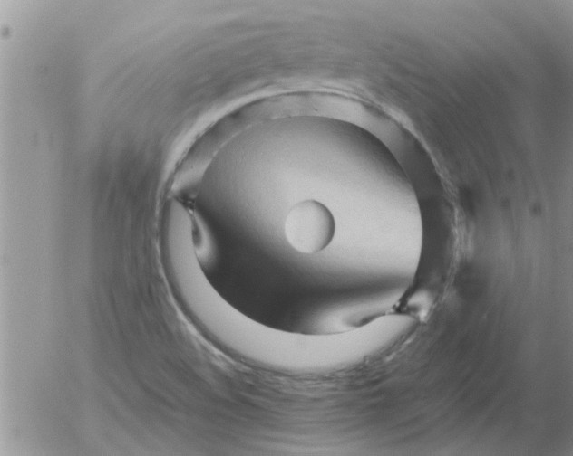 X0000053091508200508012019