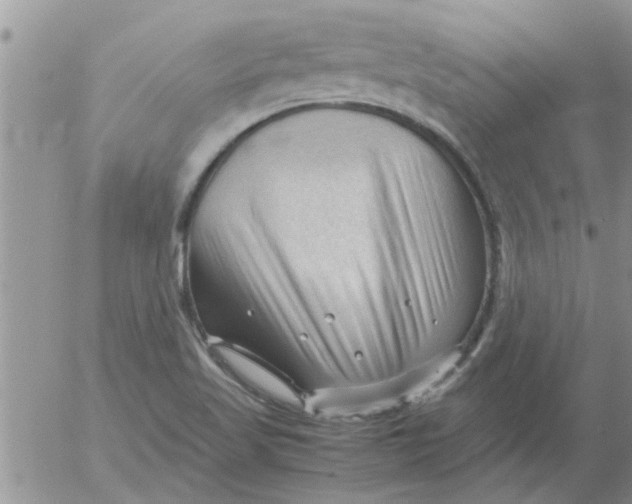 X0000053091509200508012019