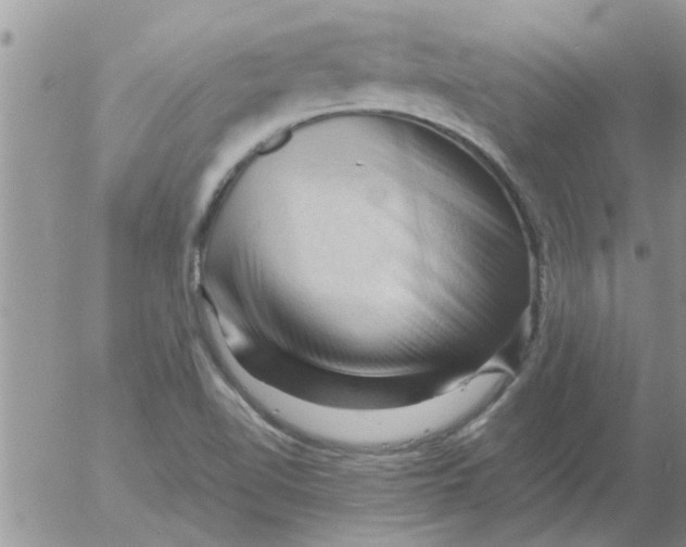 X0000053091510200508012019