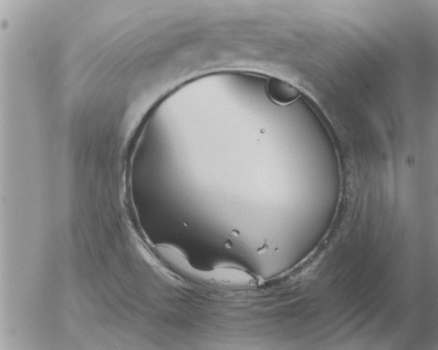 X0000053091511200508012019