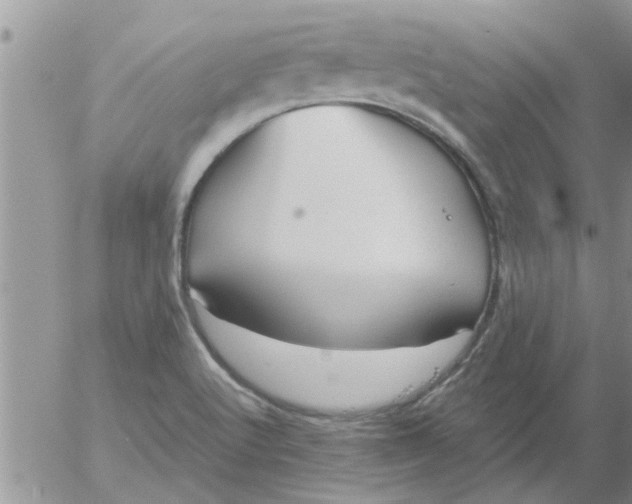 X0000053091512200508012019