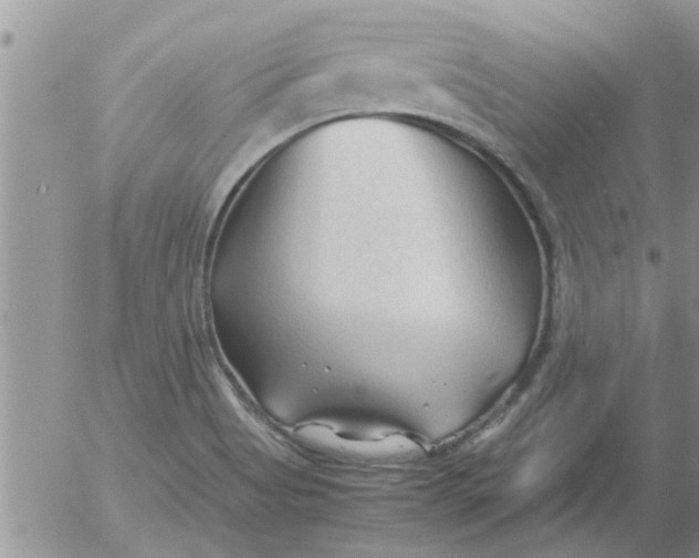 X0000053091513200508012019