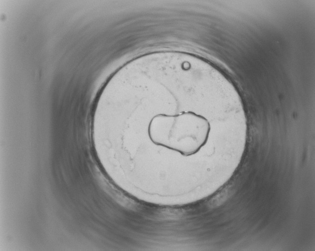 X0000053091514200508012019