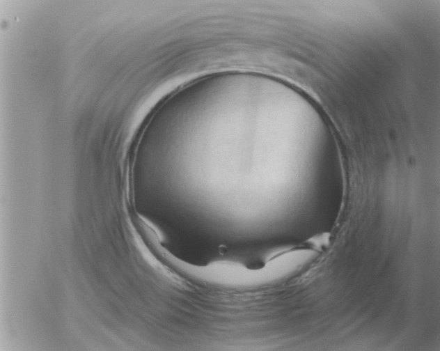 X0000053091515200508012019