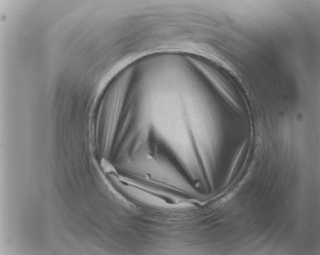 X0000053091517200508012019