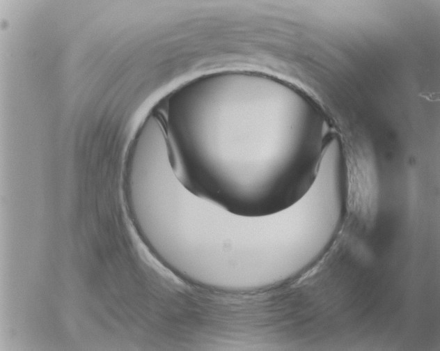 X0000053091518200508012019