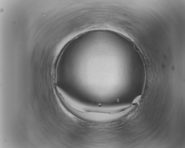 X0000053091519200508012019