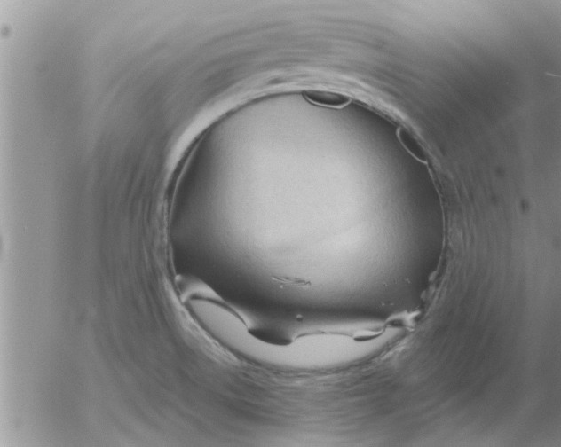 X0000053091522200508012019