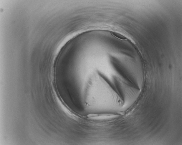 X0000053091523200508012019