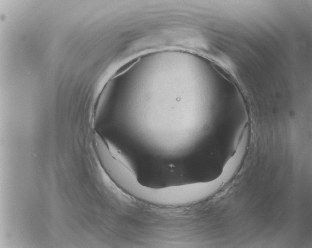 X0000053091524200508012019