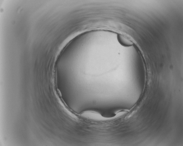 X0000053091525200508012019