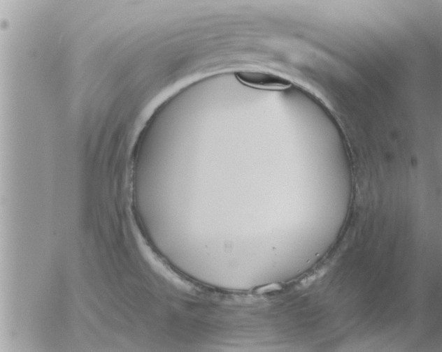 X0000053091526200508012019