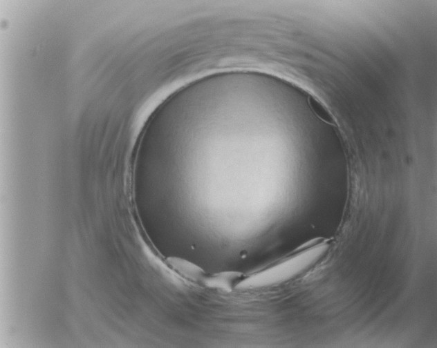 X0000053091527200508012019