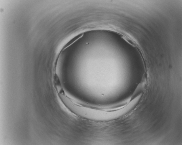 X0000053091528200508012019