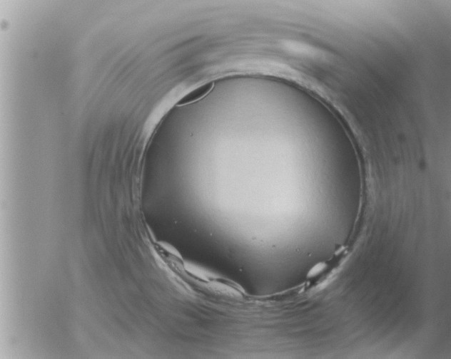 X0000053091529200508012019