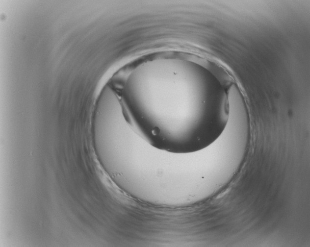 X0000053091530200508012019