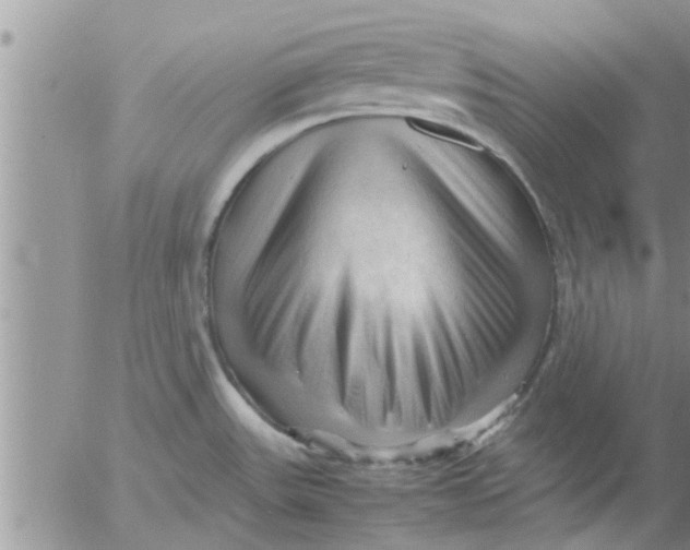 X0000053091531200508012019