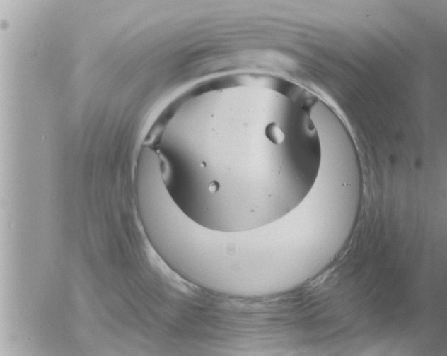 X0000053091532200508012019