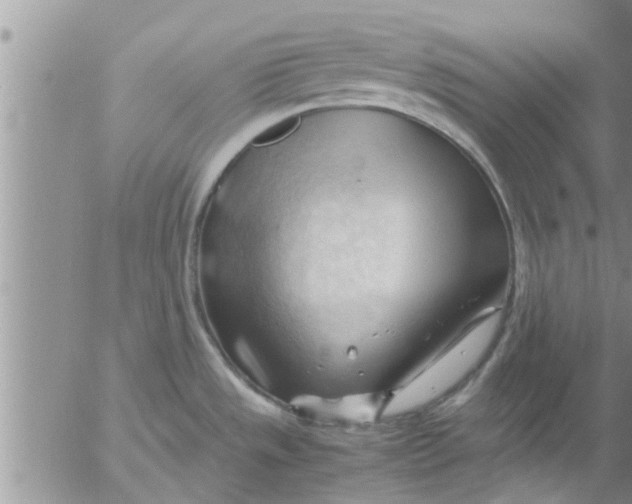 X0000053091533200508012019