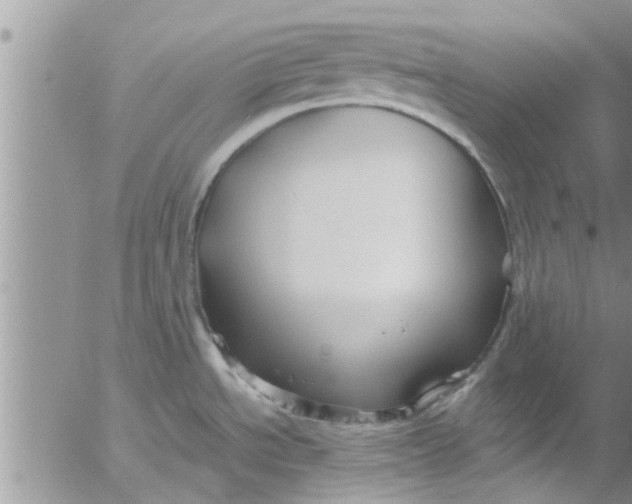 X0000053091534200508012019