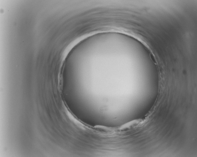 X0000053091535200508012019