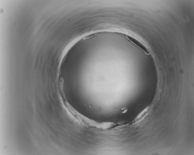 X0000053091536200508012019