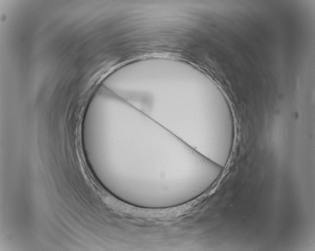 X0000053090001200508081323