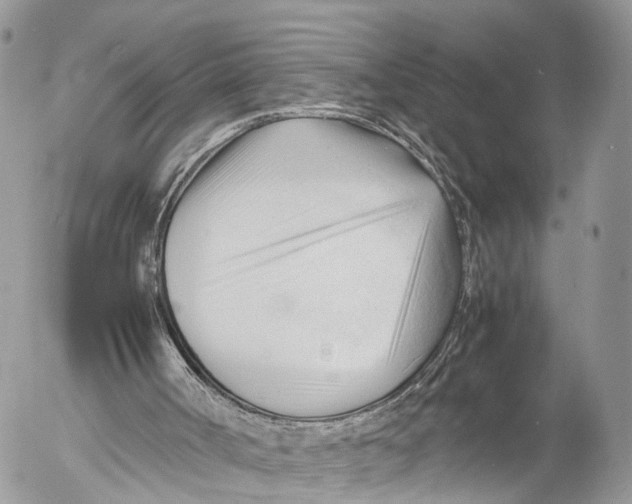 X0000053090002200508081323