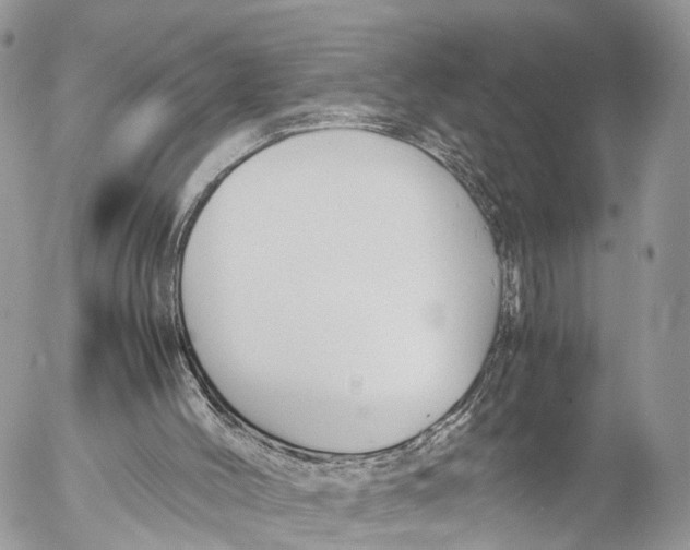 X0000053090004200508081323