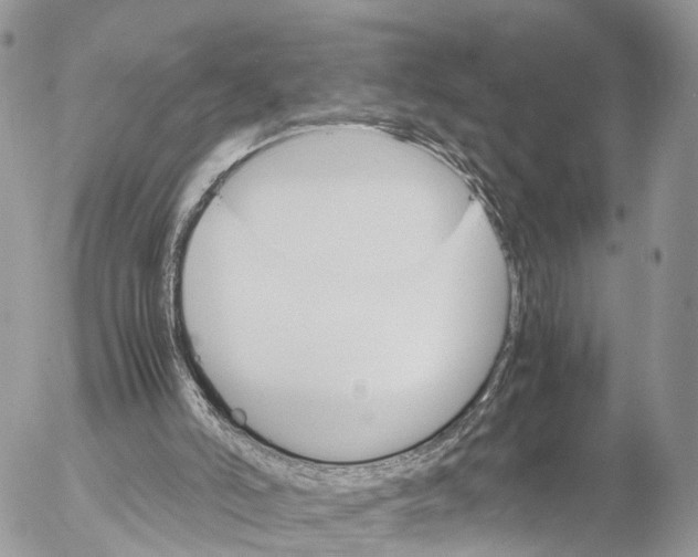 X0000053090006200508081323