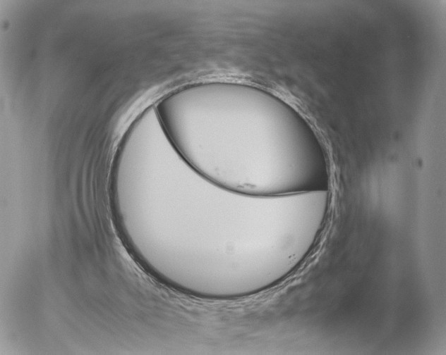 X0000053090007200508081323