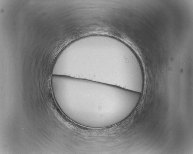 X0000053090009200508081323