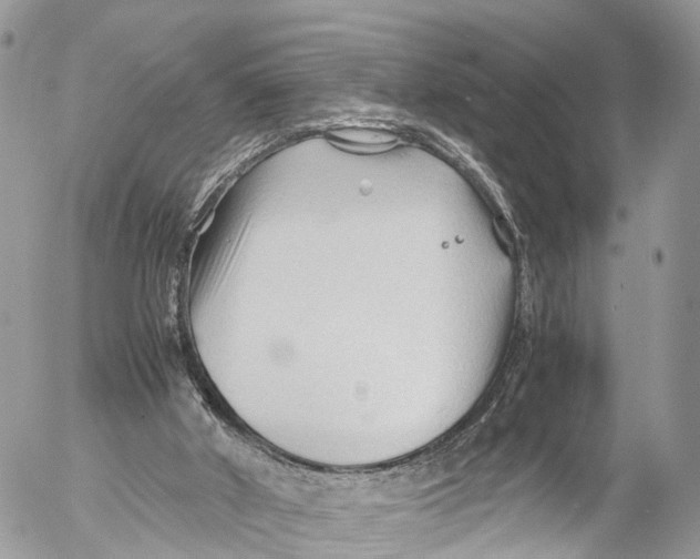 X0000053090010200508081323