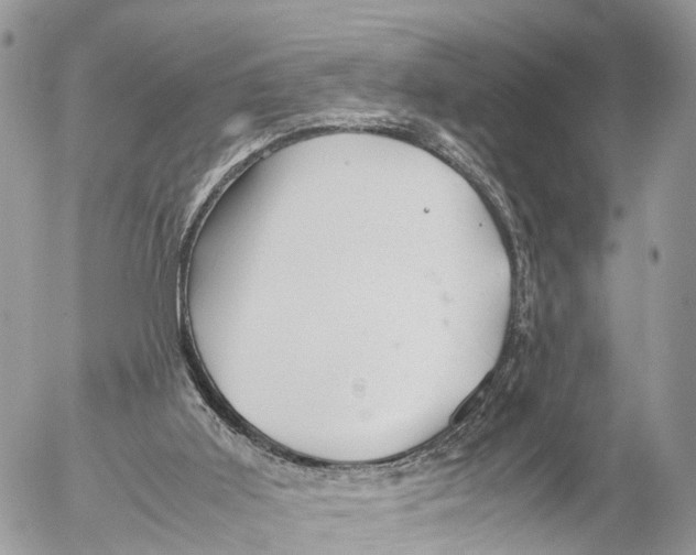 X0000053090011200508081322