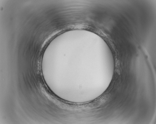 X0000053090012200508081322