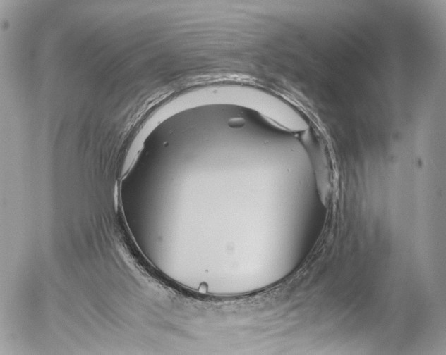 X0000053090013200508081322