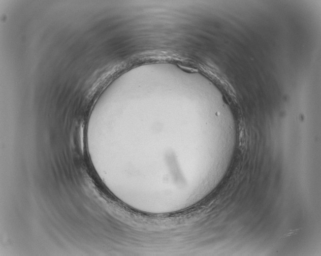 X0000053090014200508081322