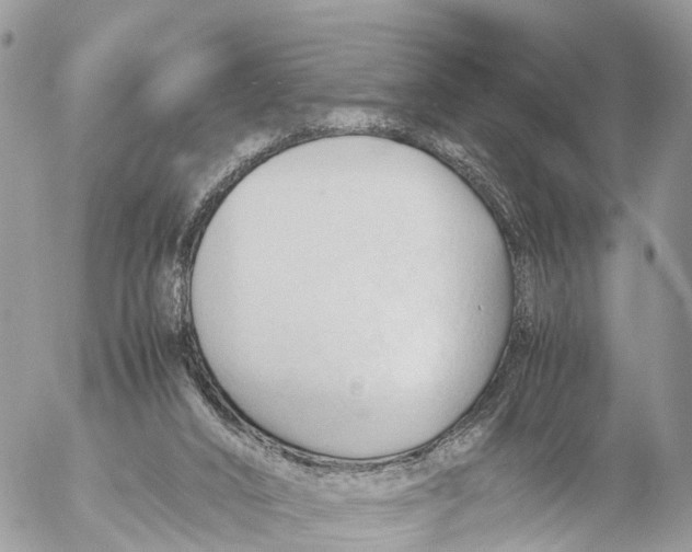 X0000053090016200508081322