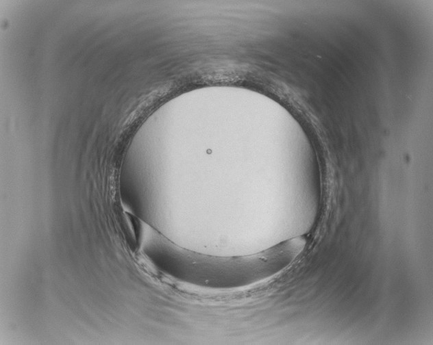 X0000053090017200508081322