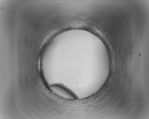 X0000053090019200508081322