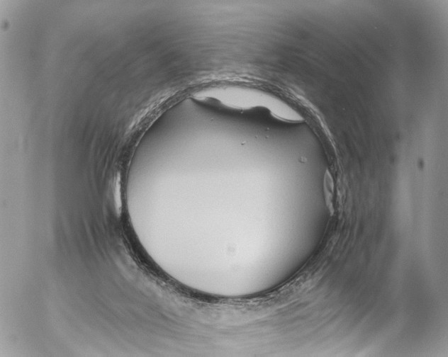 X0000053090020200508081322