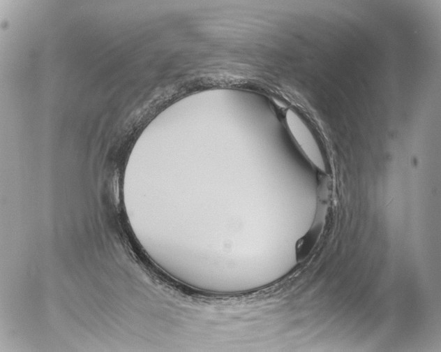 X0000053090021200508081322