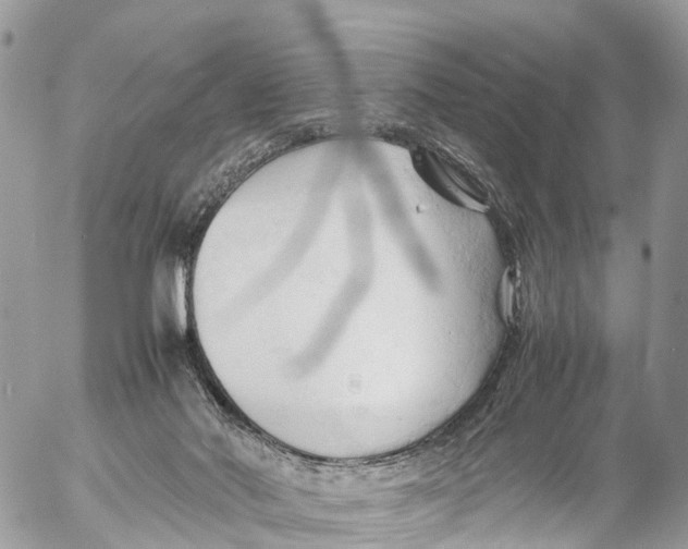 X0000053090022200508081322