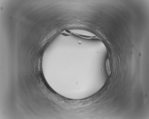 X0000053090023200508081322