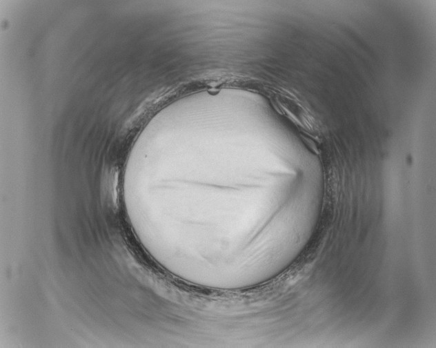 X0000053090024200508081322