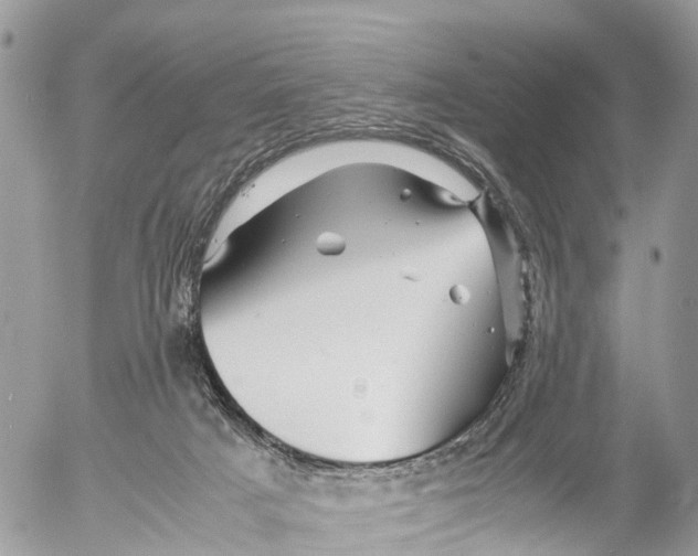 X0000053090025200508081322